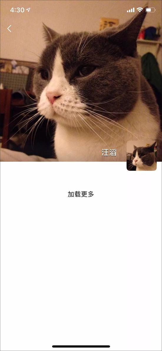 头像萌爆！