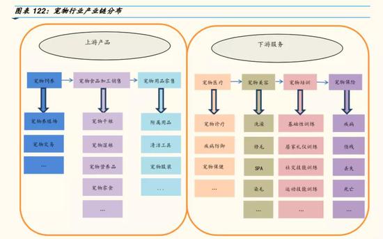 注：截图来自国金证券《单身经济报告》