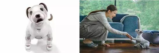 △&nbsp;最新一代AIBO（2017年）