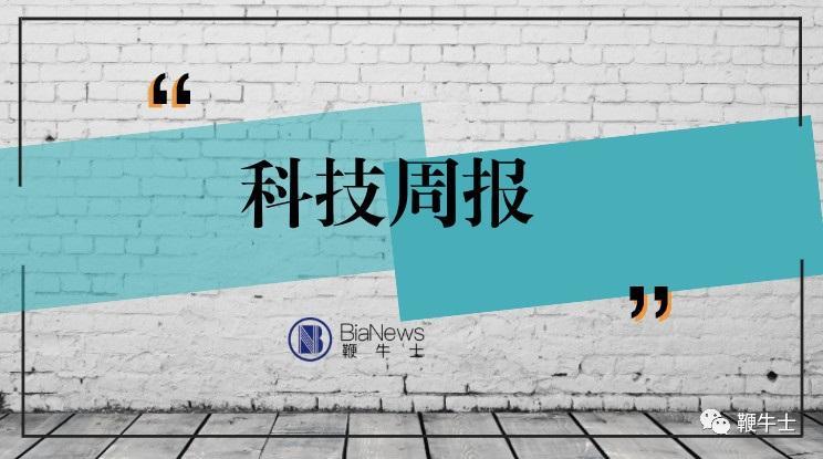 周报.jpg