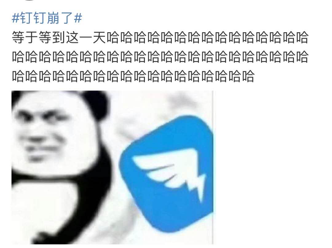 WechatIMG37.jpeg