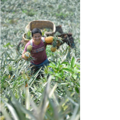 image009.png