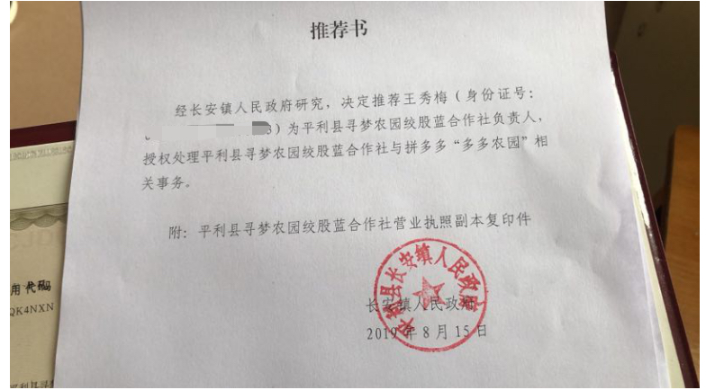2019年，在国家扶贫办的指导下，拼多多与陕西平利县政府签署“扶贫战略合作协议”，平利县“新农人”王秀梅被聘为平利县多多农园绞股蓝合作社负责人.jpg