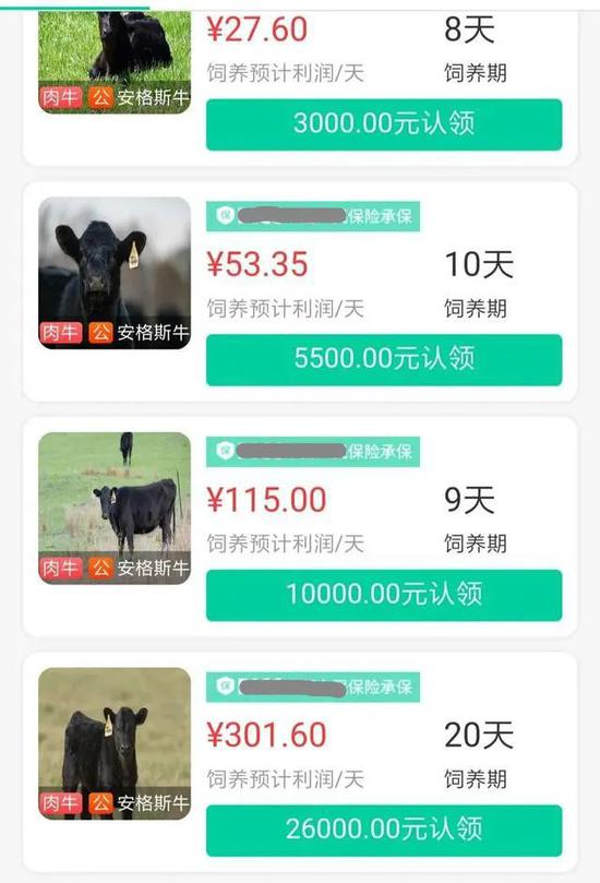 ▲某“云养牛”APP的认领界面。