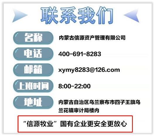 ▲“云养牛”APP的“联系我们”板块。