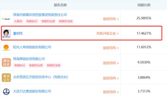 银隆新能源股东信息，截图自企查查