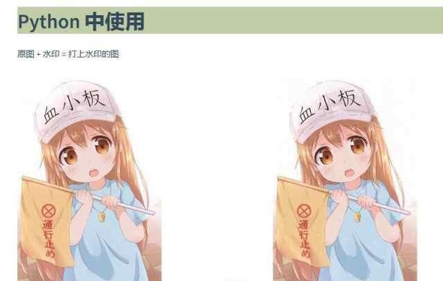 blind_watermark向图片添加文字盲水印的案例