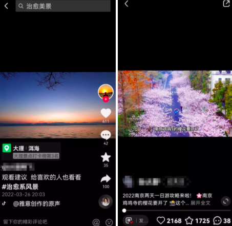 大理、南京风景图源 / 抖音、小红书