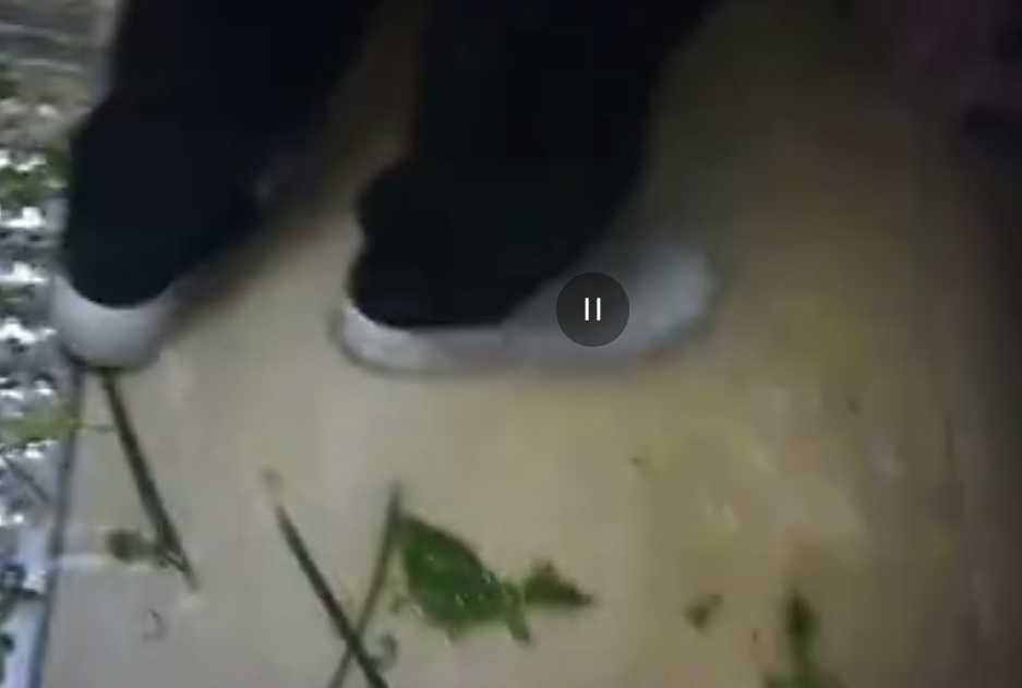 微信截图_20220808122433.png