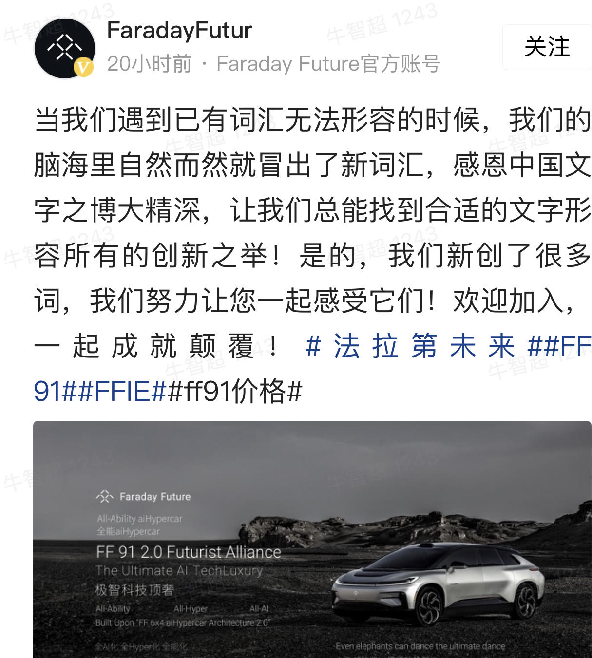 BECD1611-7D3B-4988-90E6-9E2224F9139F.jpeg