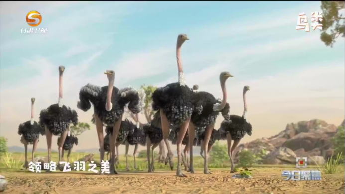 微信图片_20230926142405.png