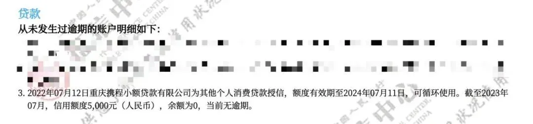 ▲小陈个人征信上的贷款记录 受访者提供