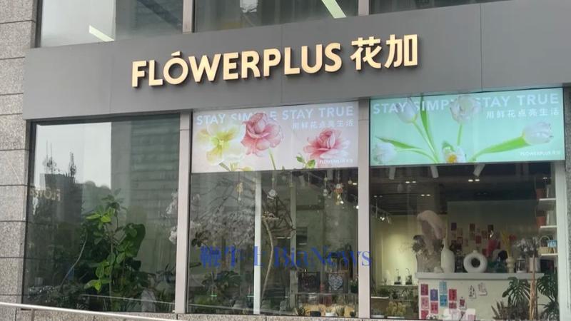 花加欠用户和加盟商的钱，还能还得上吗？