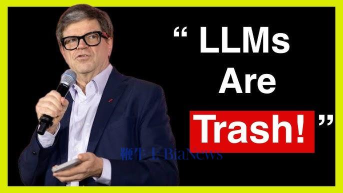 图注：负责你LLM研究的人天天说LLM没未来，你是老板你受得了么