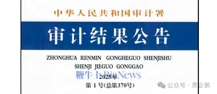 国家审计署报告揭秘：国有媒体是怎么搞钱的？