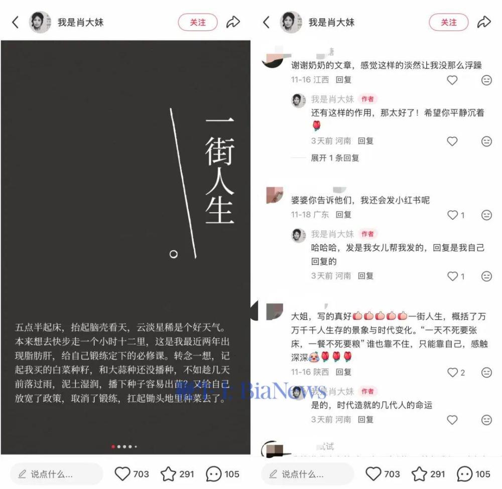 小红书，如何成为长内容创作者的「新沃土」