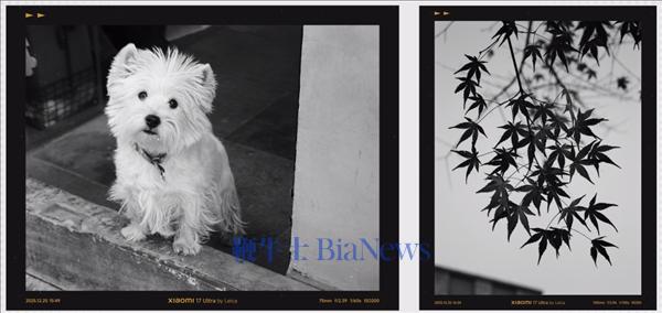 联名徕卡三年后 小米造了一台“不像小米”的手机