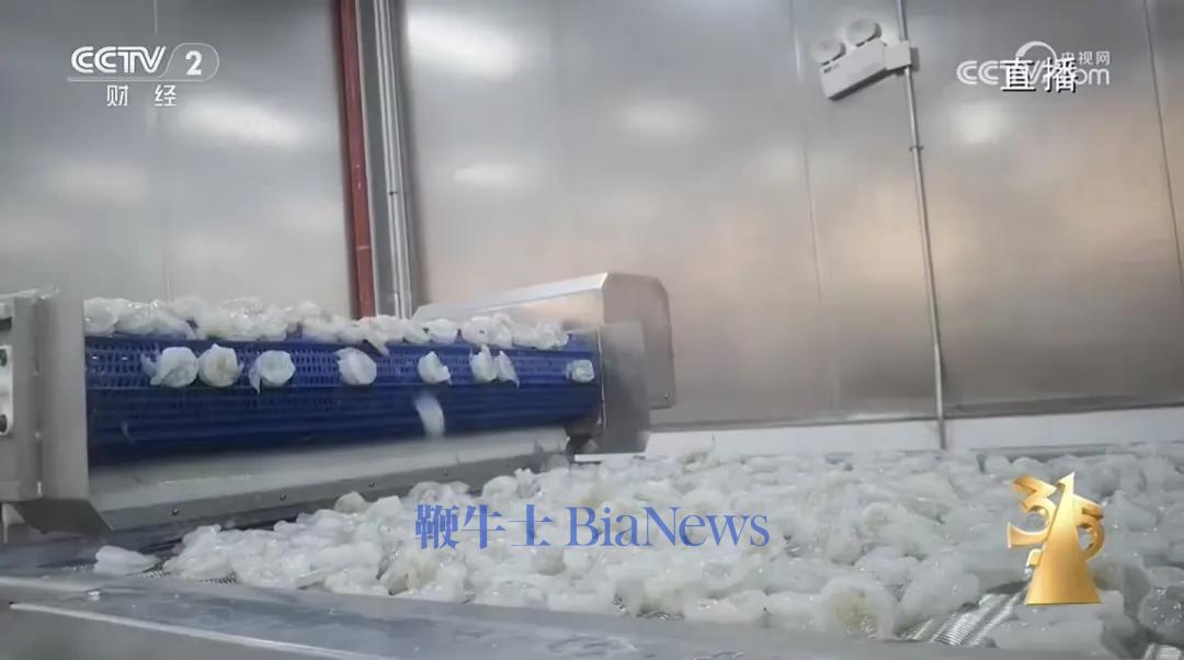 别再坑消费者了！去年315曝光的企业，下场一个比一个惨