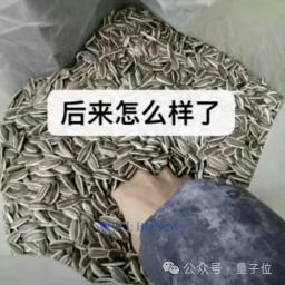 飞书文档 - 图片