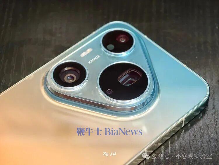 图源:不客观实验室 图源:不客观实验室