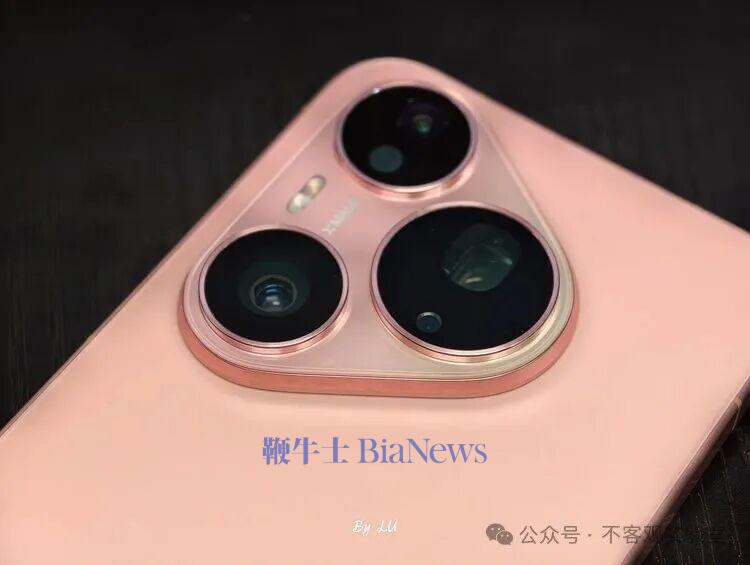图源:不客观实验室 图源:不客观实验室