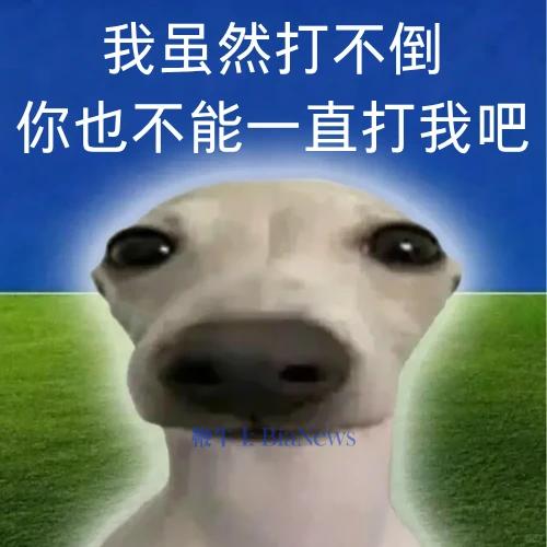 运营商干掉了流量卡,他们真的玩不起了
