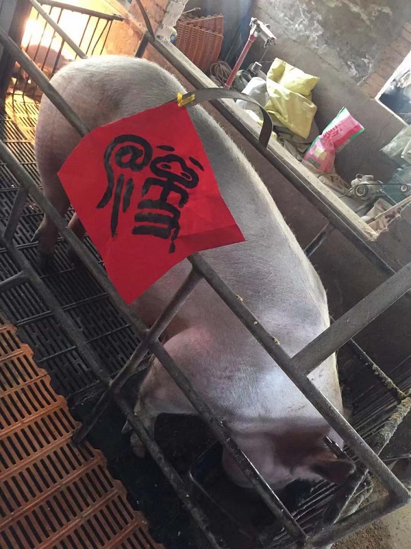 微信图片_20190129172331.jpg