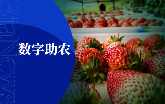 微信图片_20200724193157.png