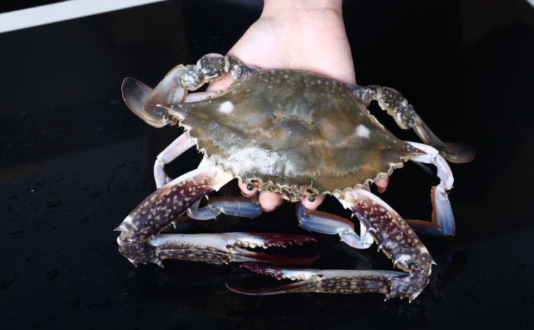 image005.png
