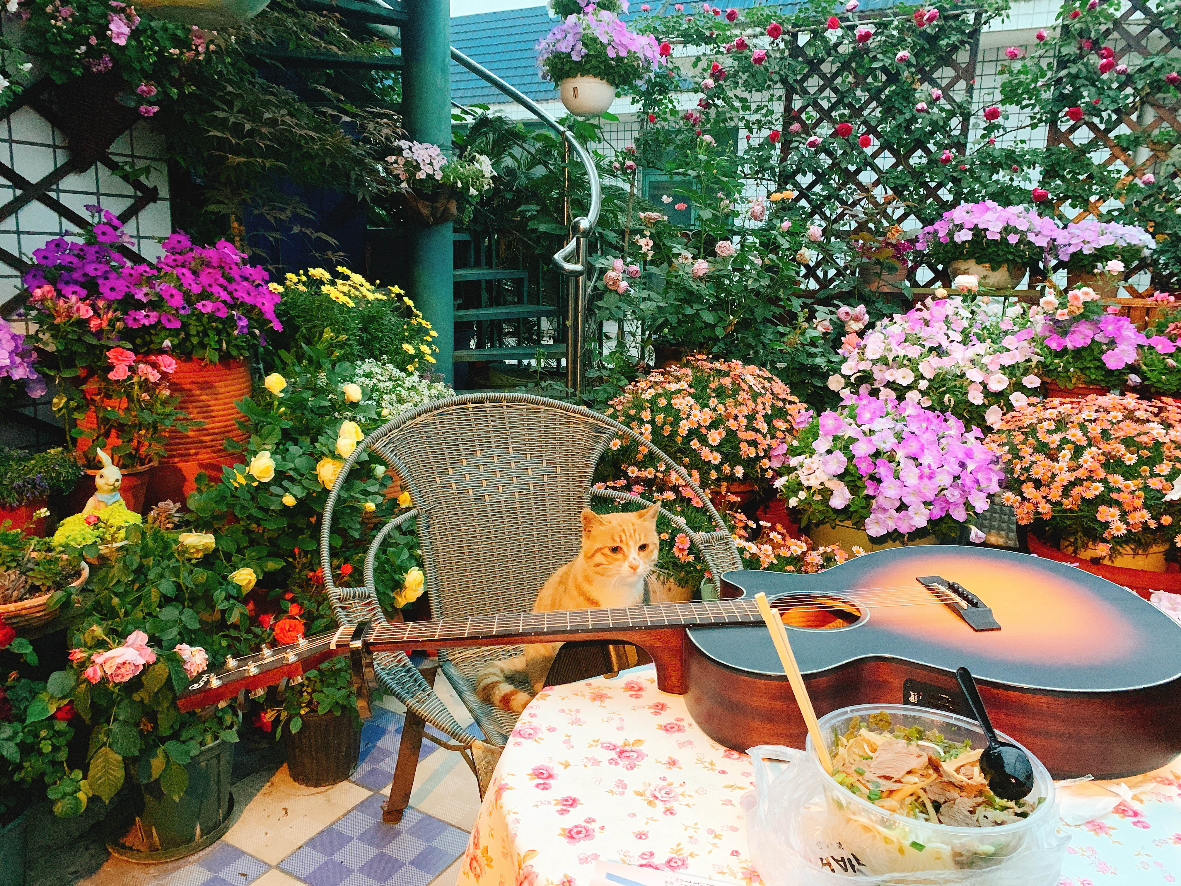 image003.jpg
