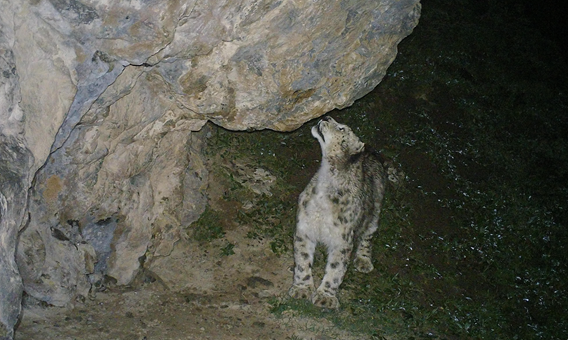 image002.png