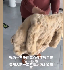 1650337937(1).png