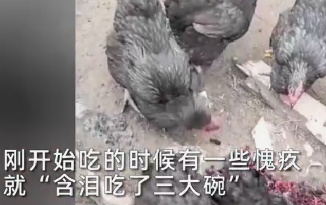 1652749327(1).png