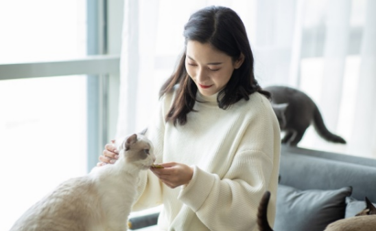 微信截图_20220808110400.png
