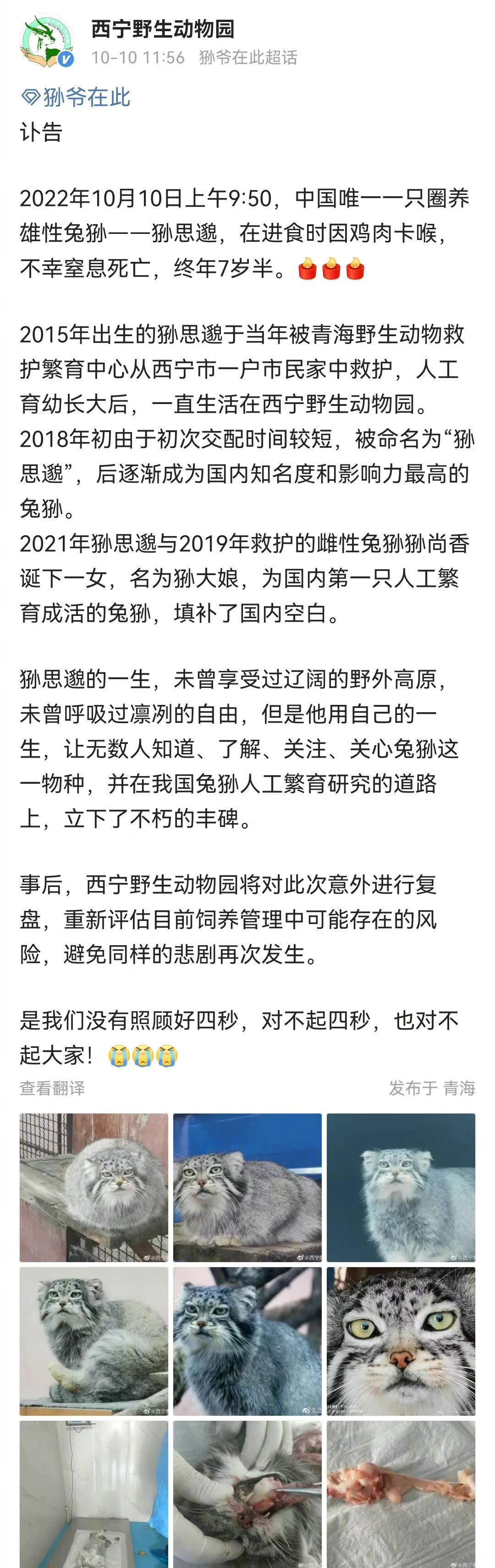 微信图片编辑_20221010141717.jpg