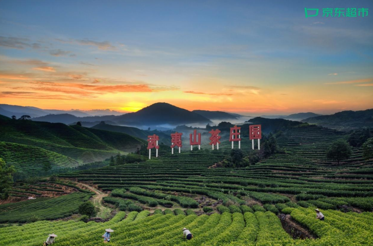 微信截图_20221011134832.png
