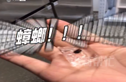 1670392845477.png
