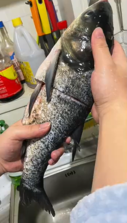 微信截图_20221213104659.png