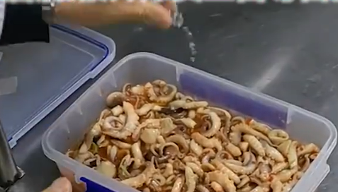 微信截图_20230319145421.png
