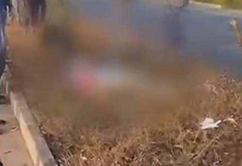 微信截图_20230418092320.png