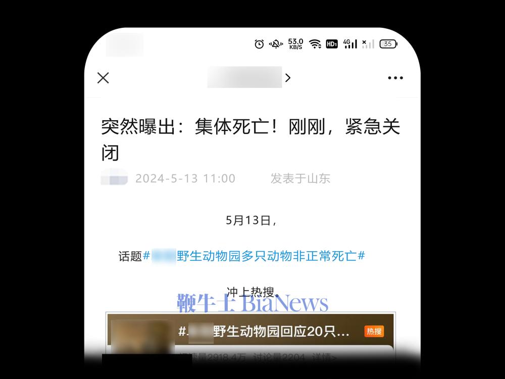 微信图片_20240531095511.png