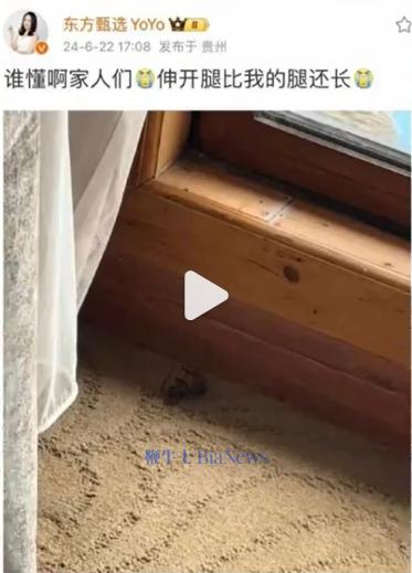 微信截图_20240629072619.png