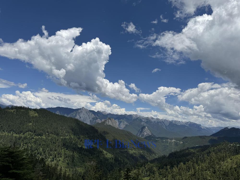 包围翁水村的崇山峻岭是孕育松茸的摇篮。刘浩 摄_proc.jpg