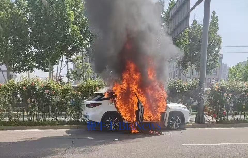 微信图片_20250514143116.jpg