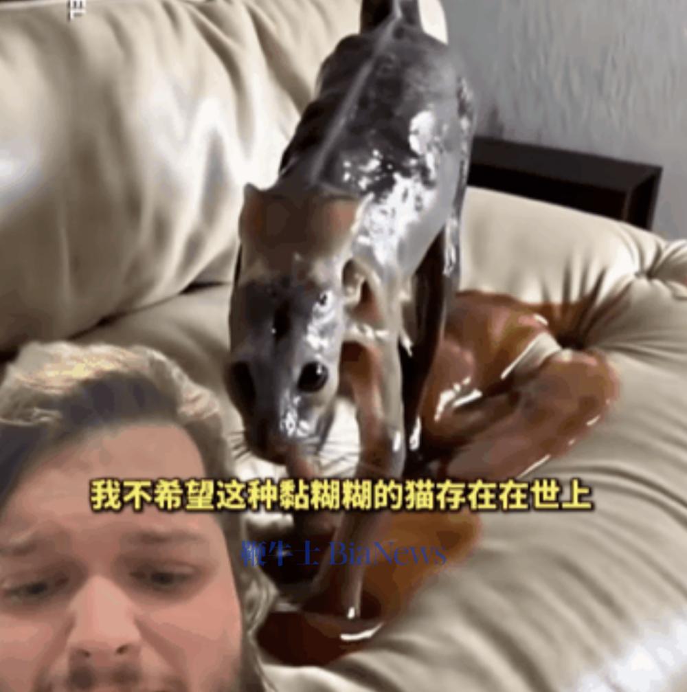 截屏2025-08-06 17.27.16.png
