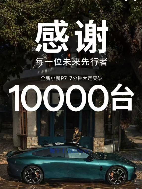 小鹏.png
