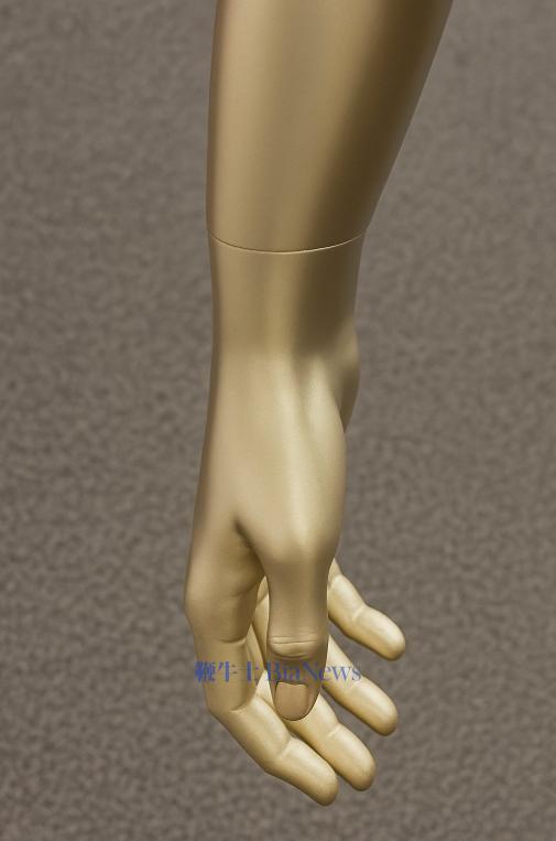 人类.png 人类.png