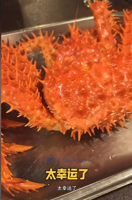 帝王蟹.png 帝王蟹.png