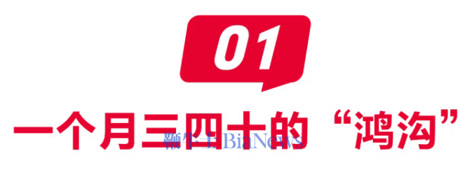 微信图片_20260526092410_545_61.png 微信图片_20260526092410_545_61.png