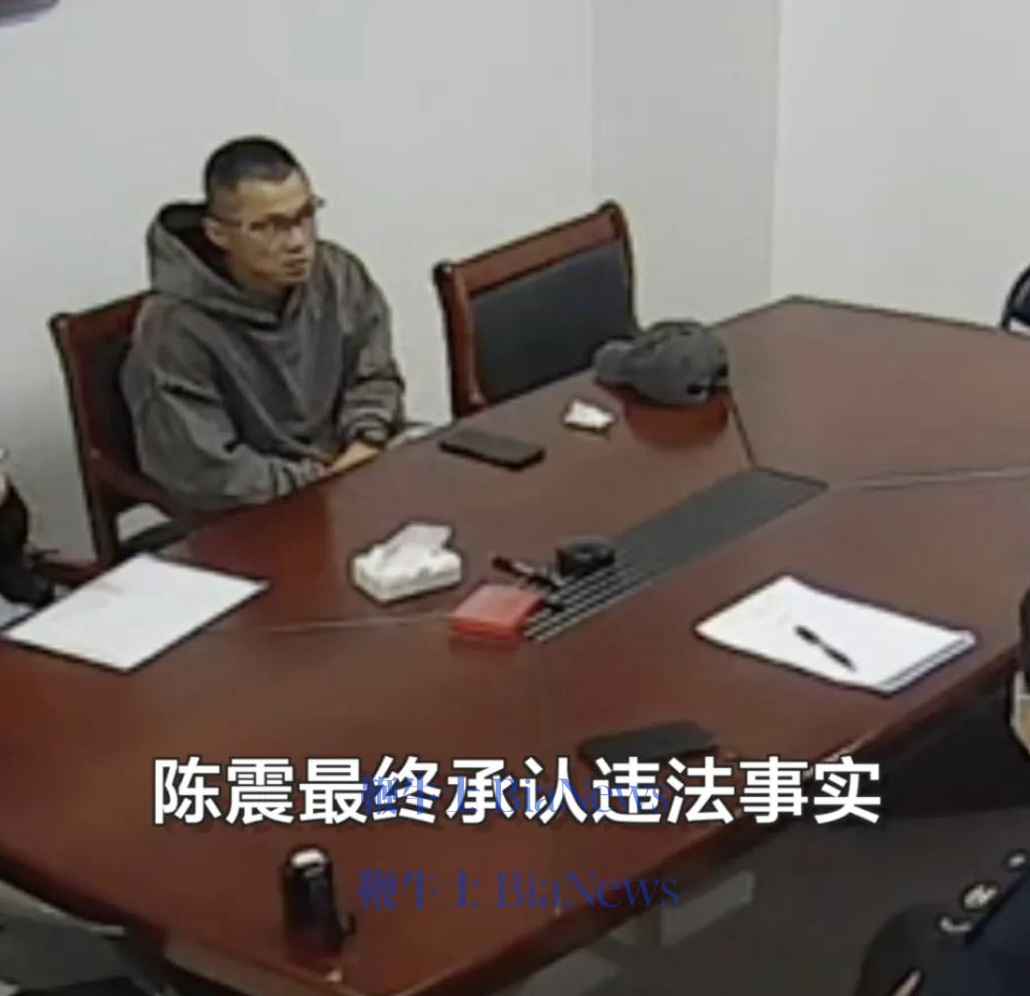 官方公布陈震偷税案细节